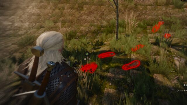 ウィッチャーセンス